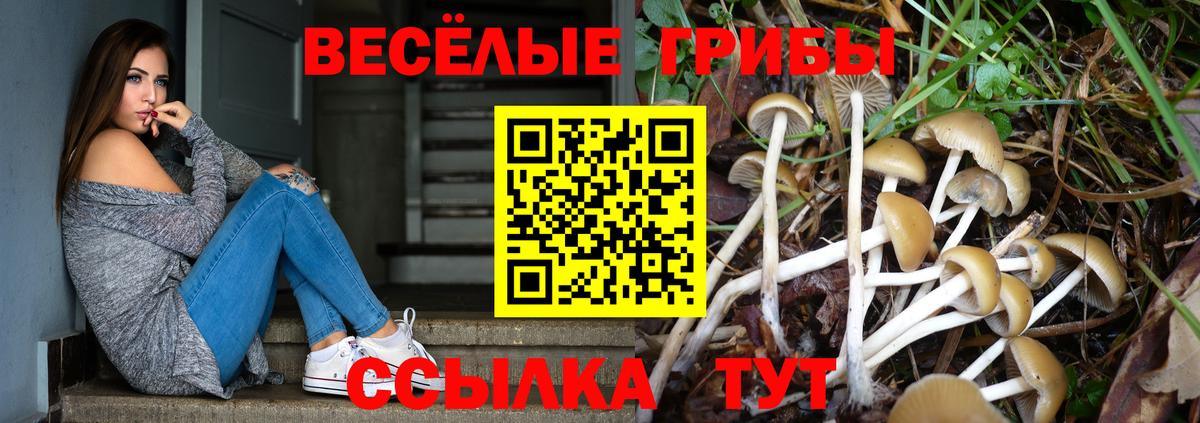 где продают   Вход с VPN  Лабытнанги  Галлюциногенные грибы GOLDEN TEACHER 